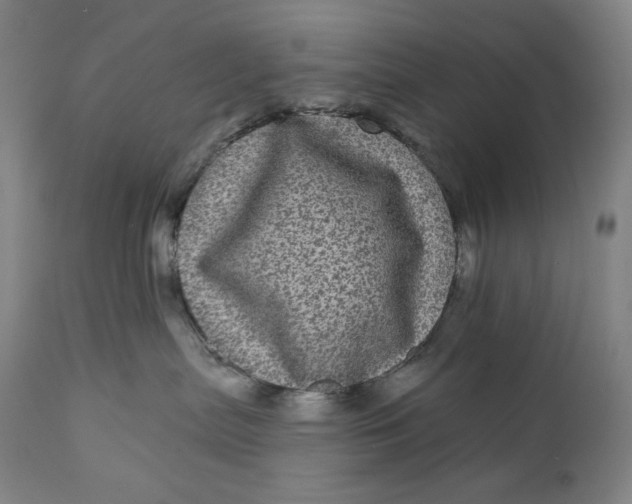 X0000111640287200908071350