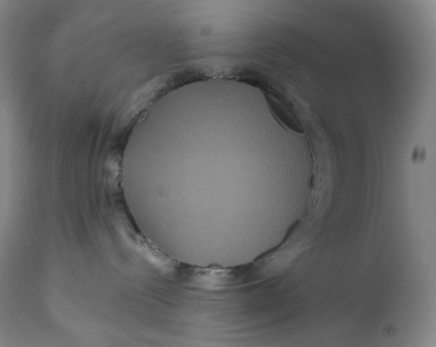X0000111640288200908071350