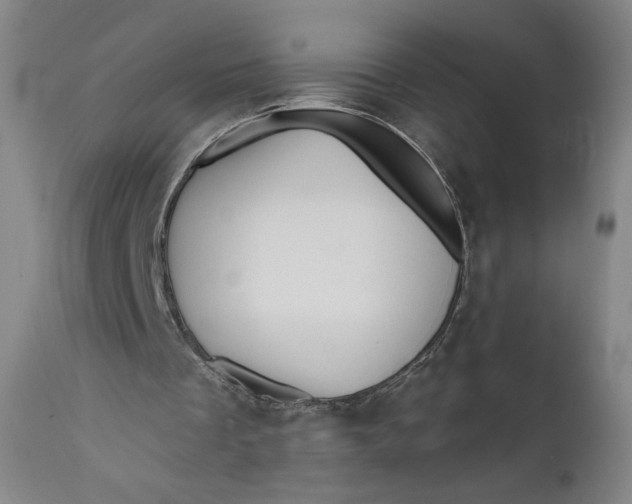 X0000111640289200908071349