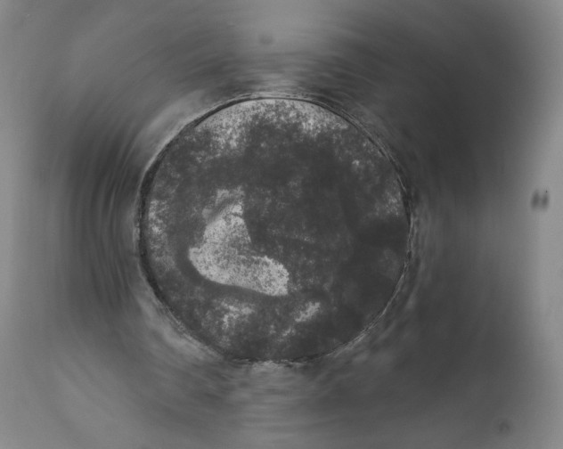 X0000111640290200908071349