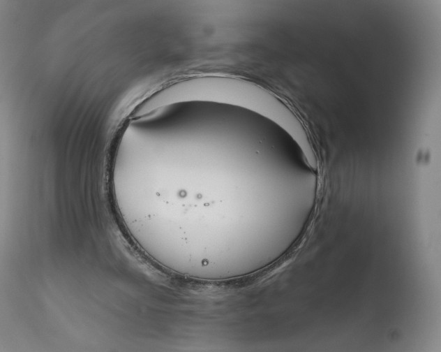 X0000111640293200908071349