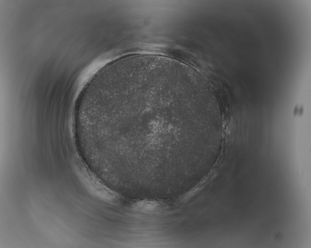 X0000111640294200908071349