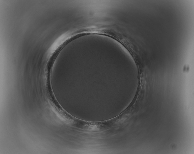 X0000111640295200908071349