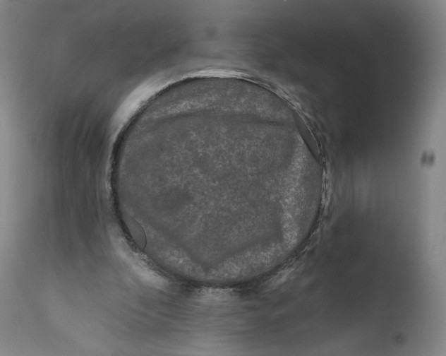 X0000111640296200908071349