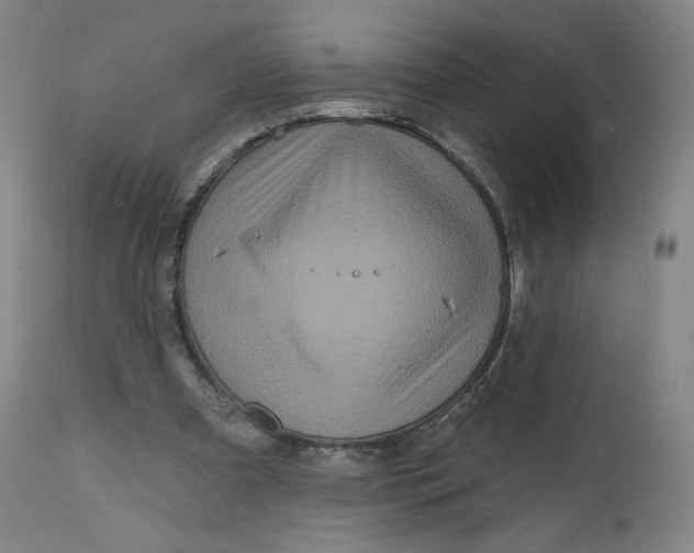 X0000111640297200908071349