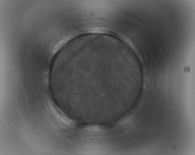 X0000111640299200908071349