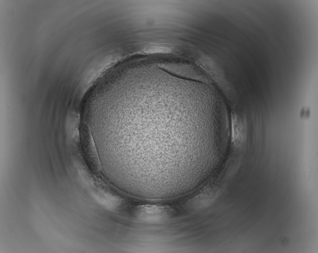 X0000111640300200908071349