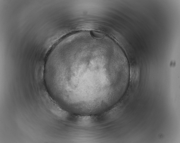 X0000111640301200908071349