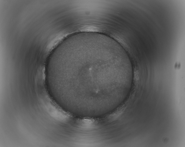 X0000111640302200908071349