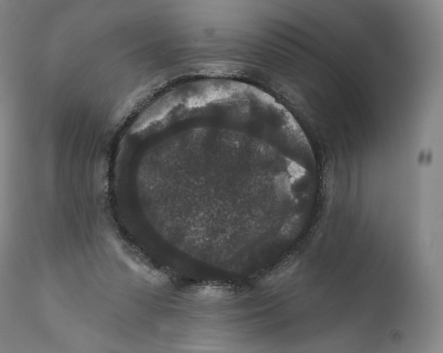 X0000111640303200908071349