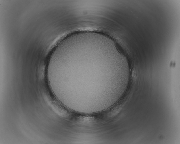 X0000111640304200908071349