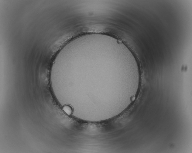 X0000111640305200908071349