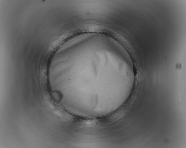 X0000111640306200908071349