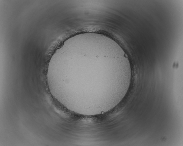 X0000111640307200908071349