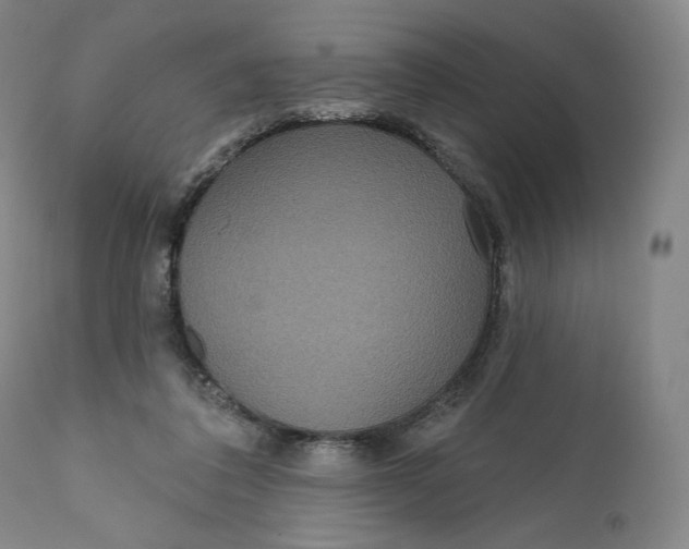 X0000111640308200908071349