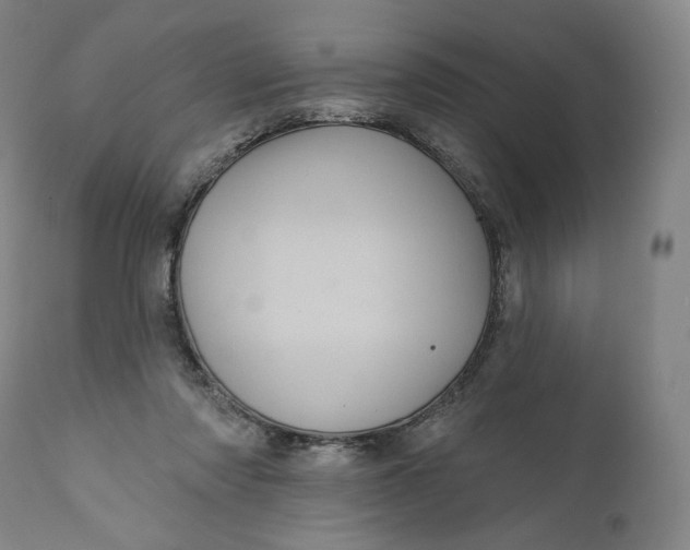 X0000111640310200908071349