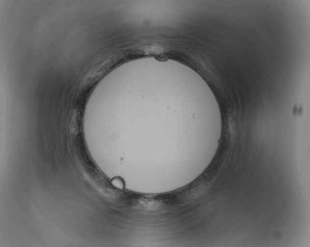 X0000111640311200908071349