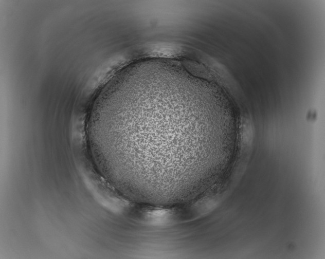 X0000111640312200908071349