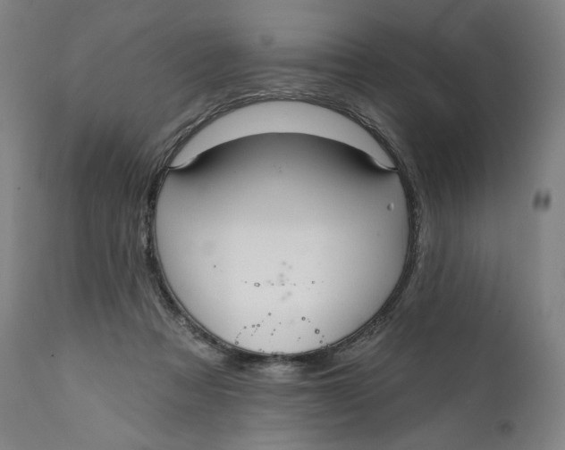 X0000111640313200908071349