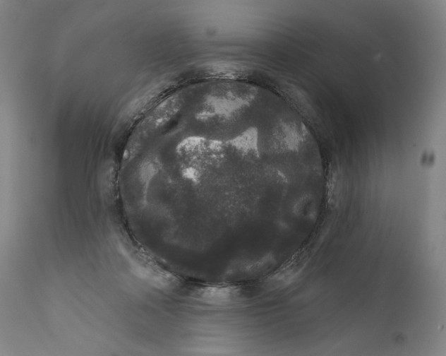 X0000111640314200908071349