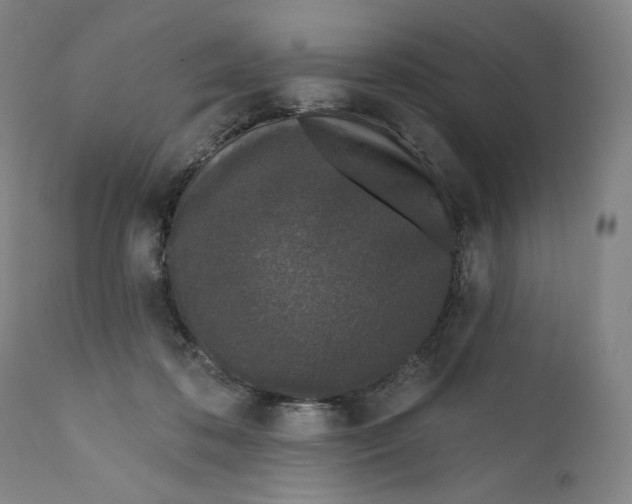 X0000111640316200908071349