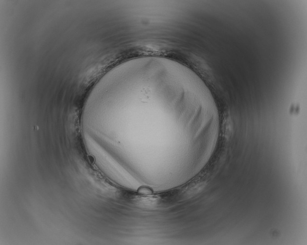 X0000111640318200908071349