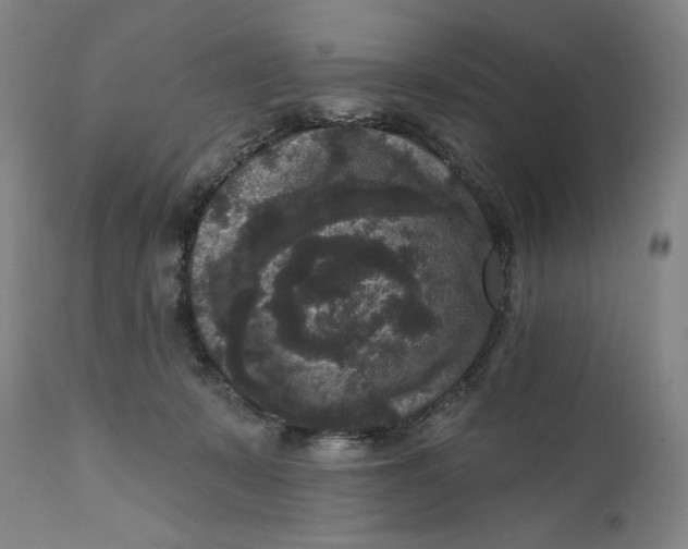 X0000111640319200908071349