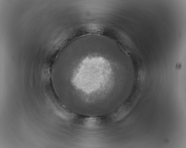 X0000111640320200908071349