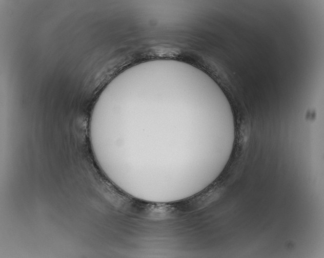 X0000111640321200908071349