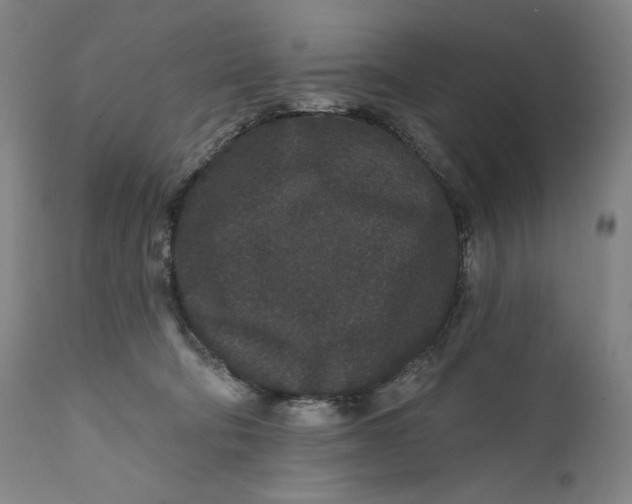 X0000111640322200908071349