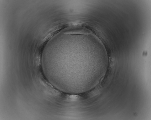 X0000111640324200908071349