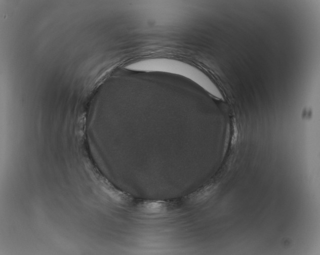 X0000111640325200908071349