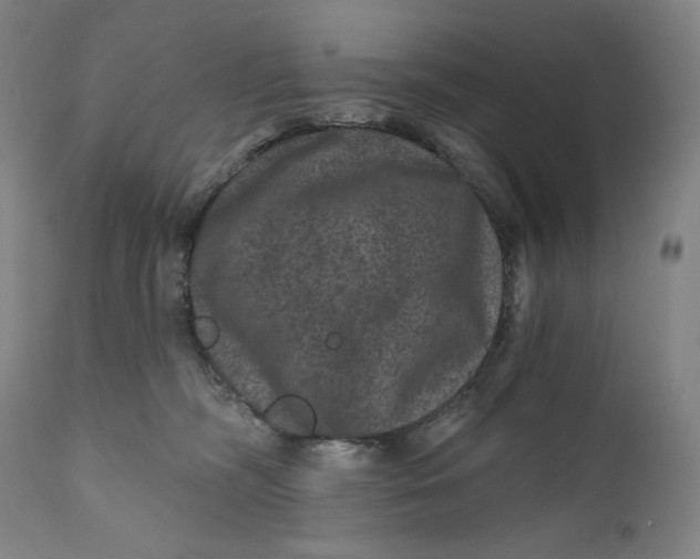 X0000111640326200908071349