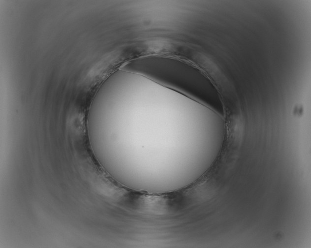 X0000111640327200908071348