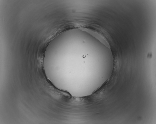 X0000111640329200908071348