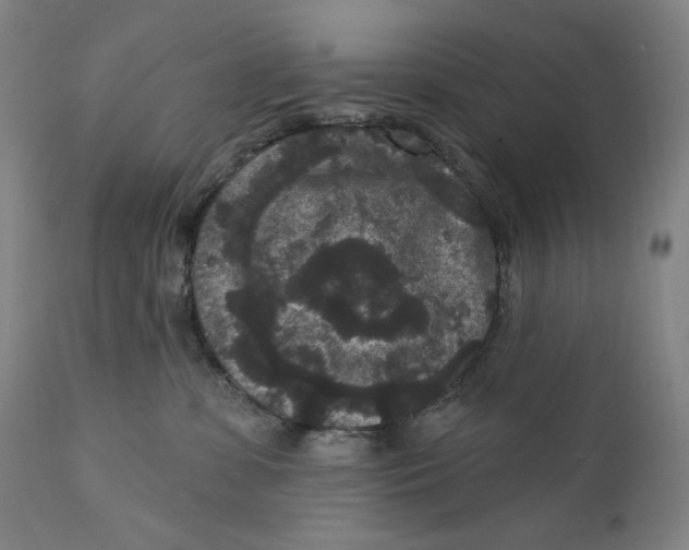 X0000111640331200908071348