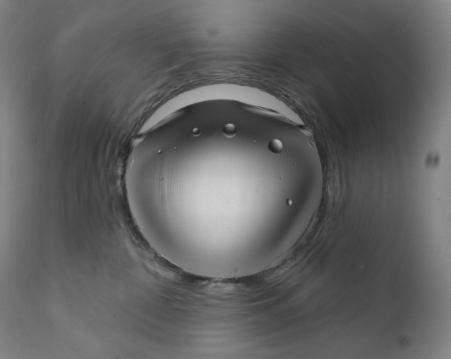 X0000111640332200908071348