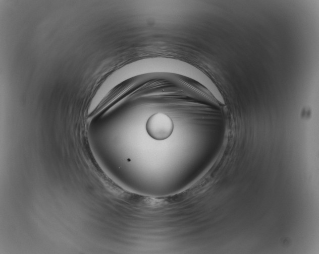 X0000111640333200908071348