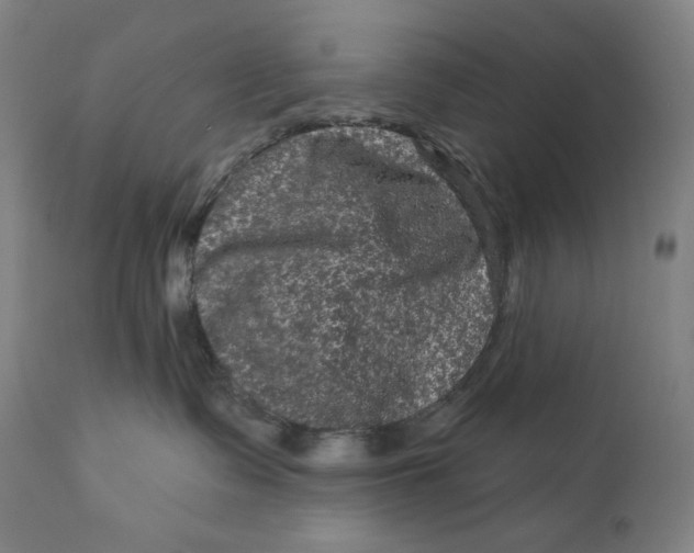 X0000111640335200908071348