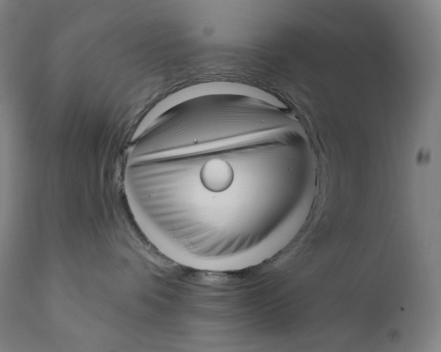 X0000111640336200908071348