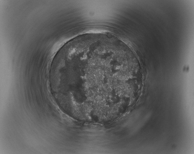 X0000111640337200908071348