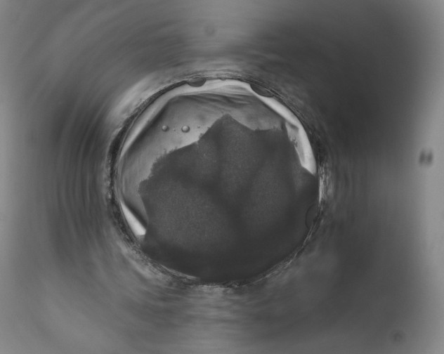 X0000111640339200908071348