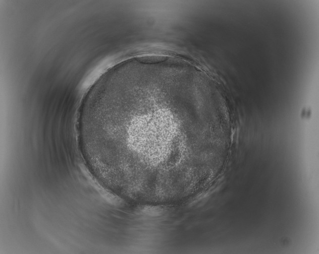 X0000111640341200908071348