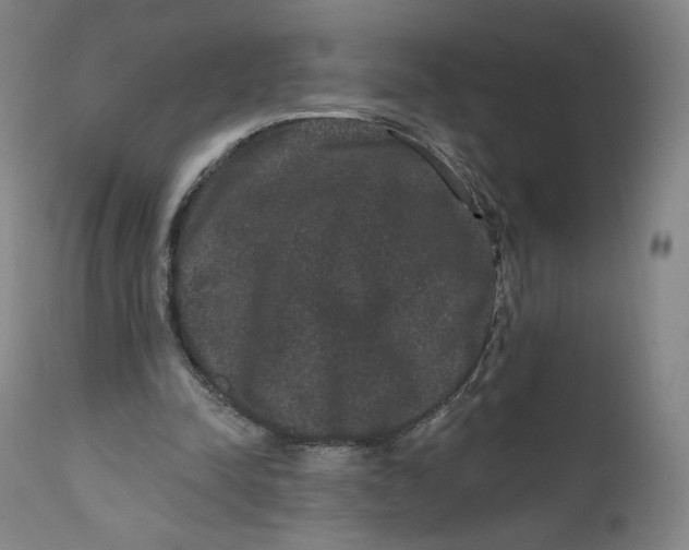 X0000111640342200908071348