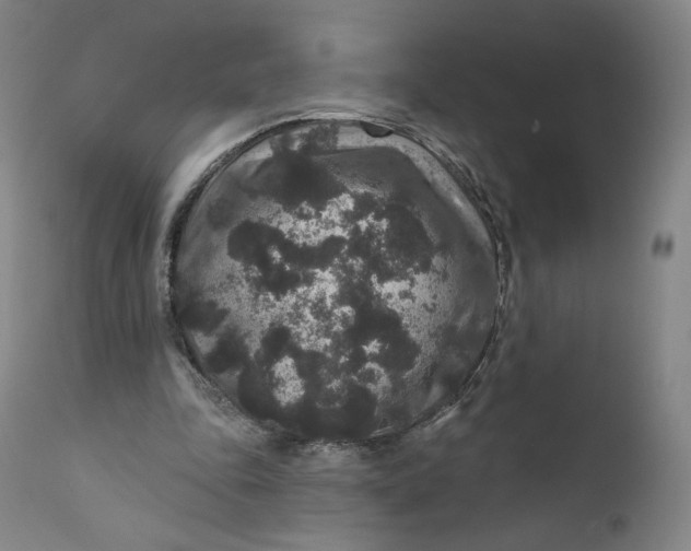 X0000111640343200908071348