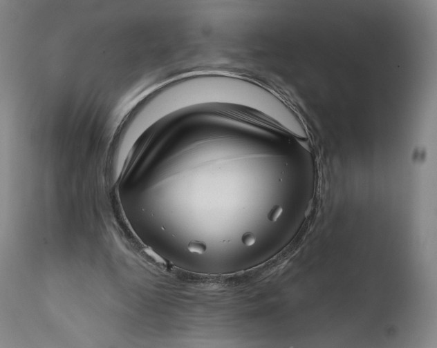 X0000111640344200908071348