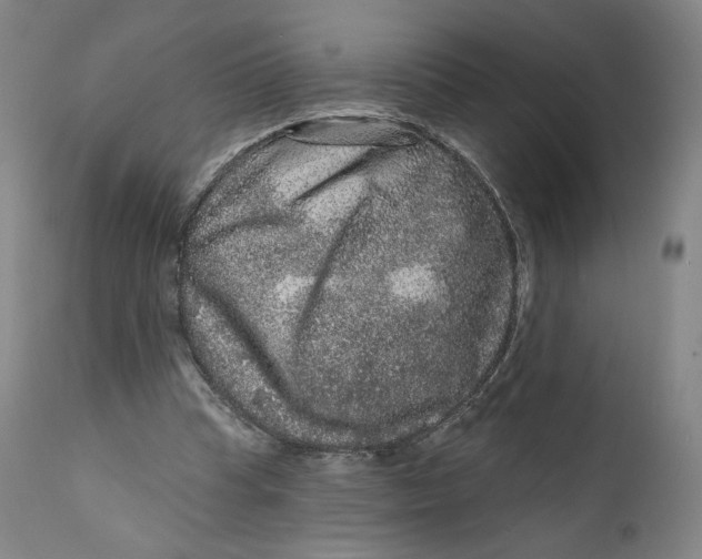 X0000111640345200908071348