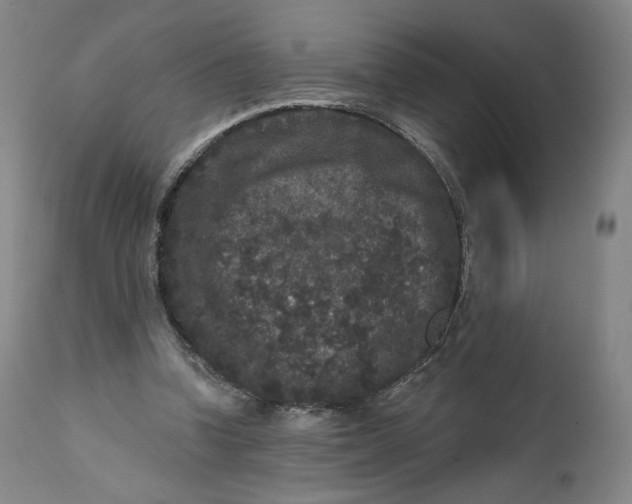 X0000111640346200908071348