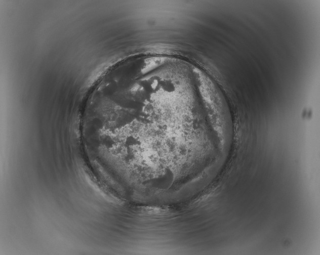 X0000111640347200908071348