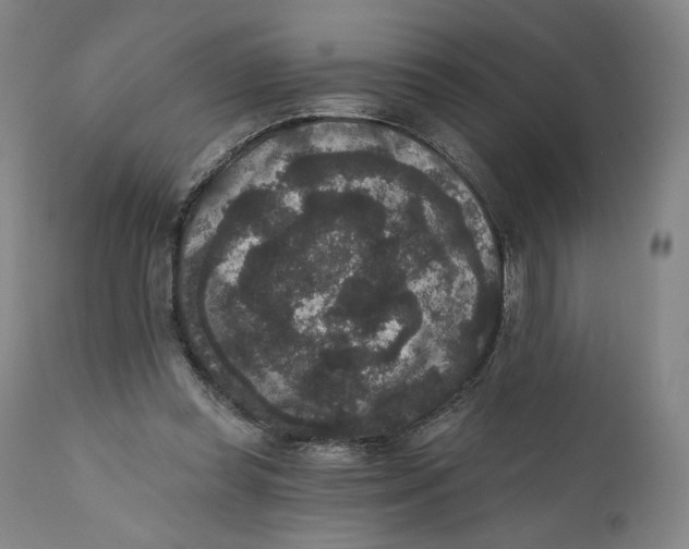 X0000111640349200908071348